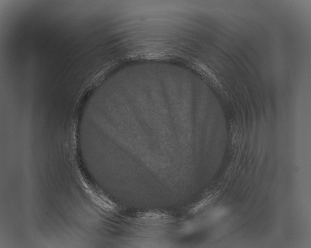 X0000076040542200610061447