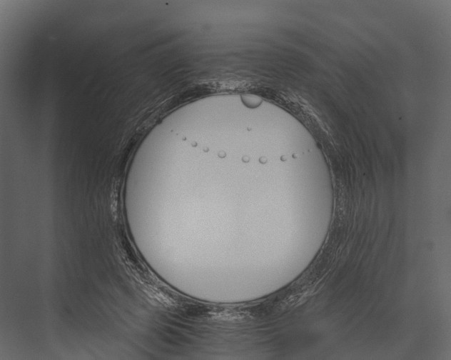 X0000076040545200610061447