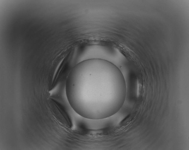 X0000076040556200610061447