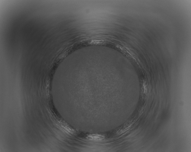 X0000076040557200610061447