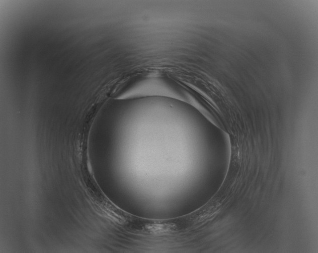 X0000076040558200610061447