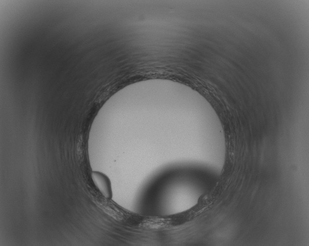 X0000076040563200610061447