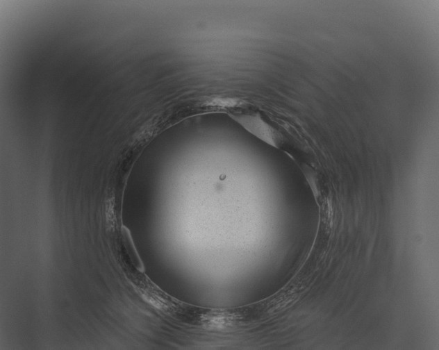 X0000076040564200610061447