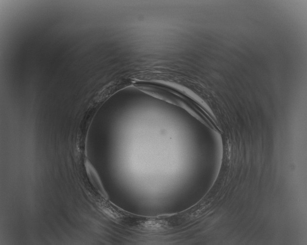 X0000076040566200610061447