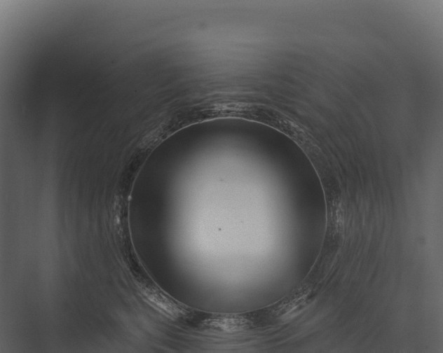 X0000076040567200610061447