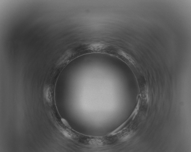 X0000076040572200610061447