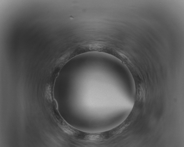 X0000076040575200610061447