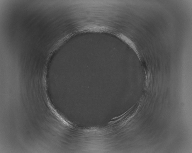 X0000076040581200610061446