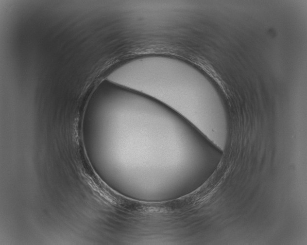 X0000076040585200610061446