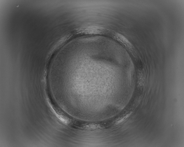 X0000076040586200610061446