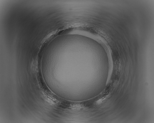 X0000076040587200610061446