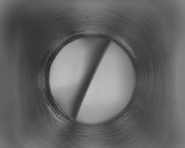 X0000076040588200610061446
