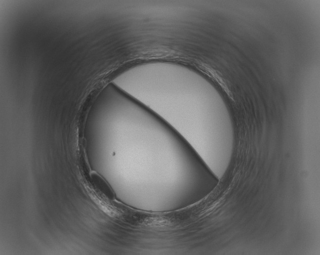 X0000076040589200610061446