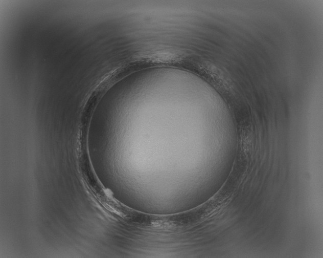 X0000076040591200610061446