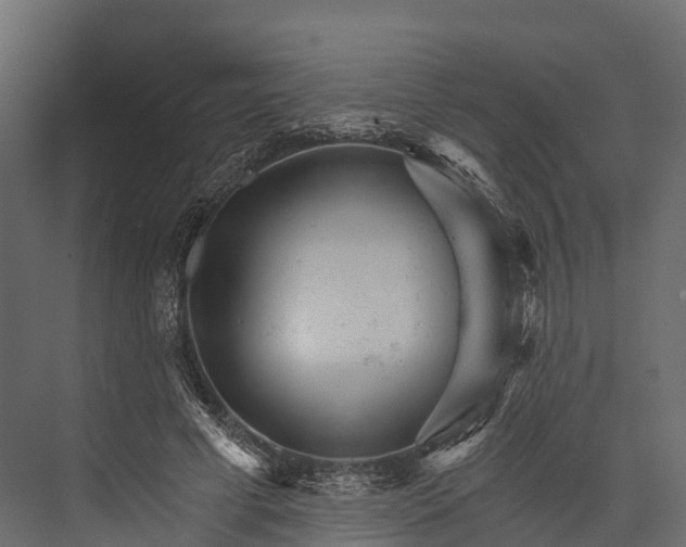 X0000076040593200610061446