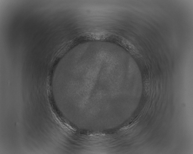 X0000076040594200610061446