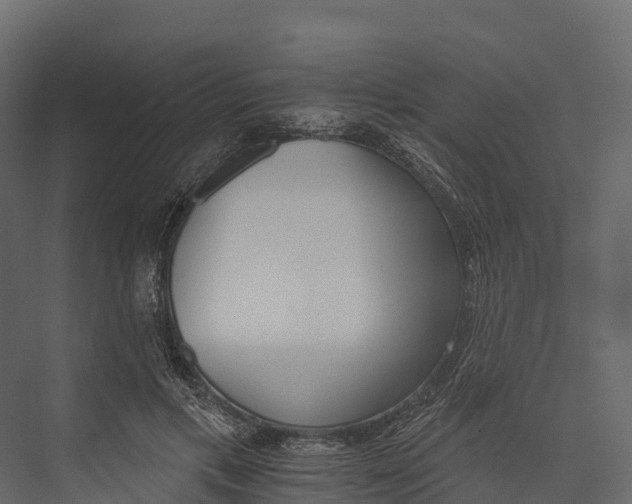 X0000076040597200610061446
