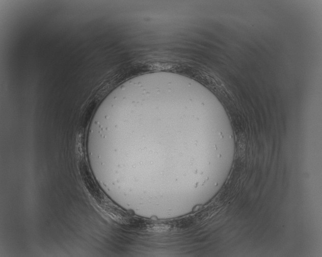 X0000076040598200610061446