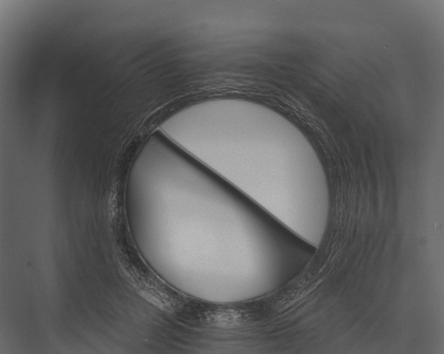 X0000076040600200610061446