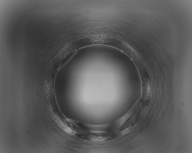 X0000076040601200610061446