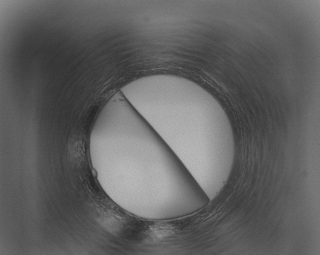X0000076040603200610061446