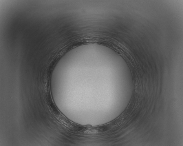 X0000076040604200610061446