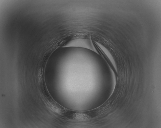 X0000076040605200610061446