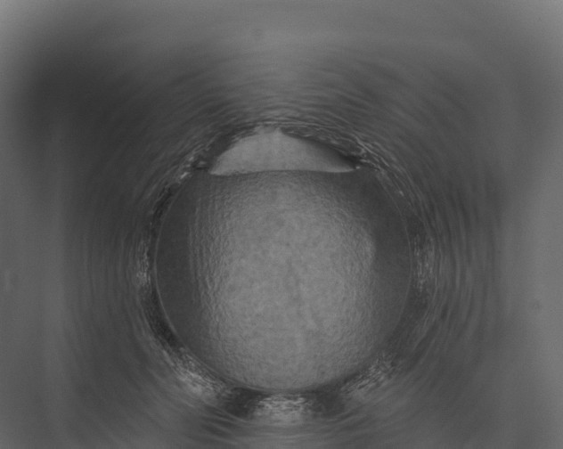 X0000076040606200610061446