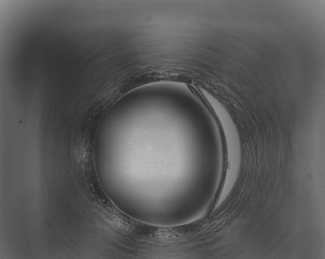X0000076040608200610061446