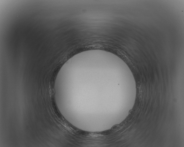 X0000076040617200610061446