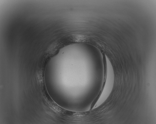 X0000076040620200610061446