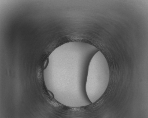 X0000076040623200610061446