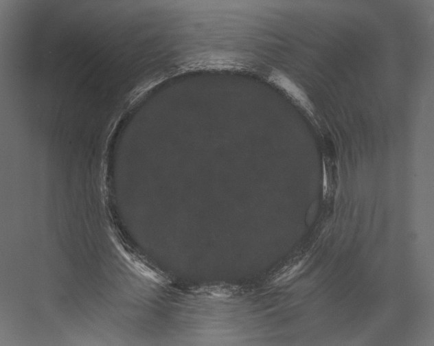X0000076040627200610061445