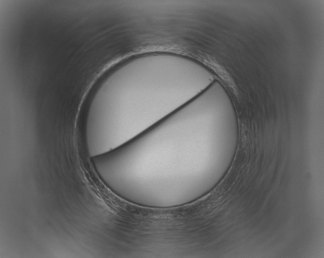 X0000076040628200610061445
