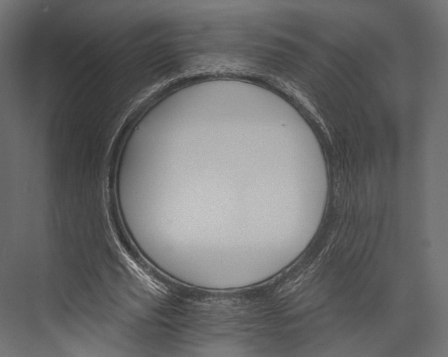 X0000076040629200610061445