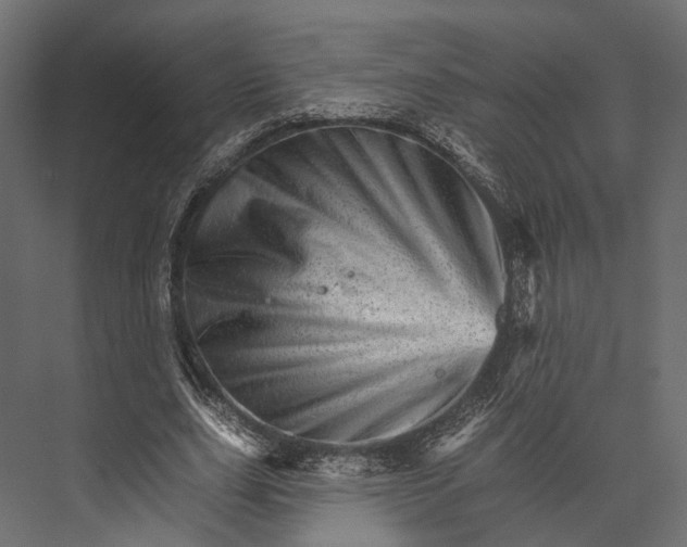 X0000076040631200610061445