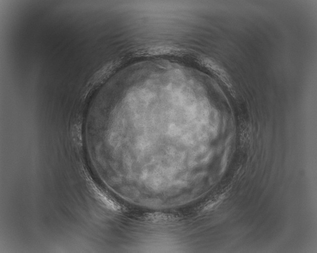 X0000076040633200610061445