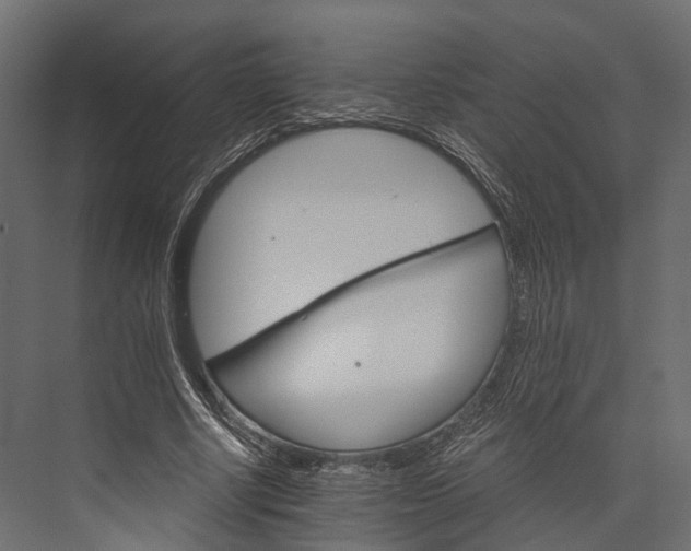 X0000076040634200610061445