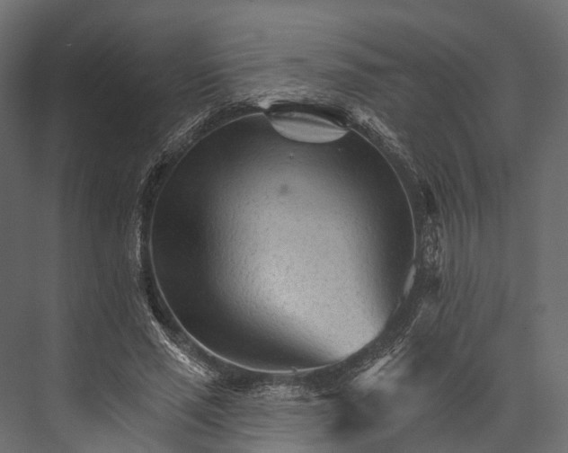 X0000076040637200610061445