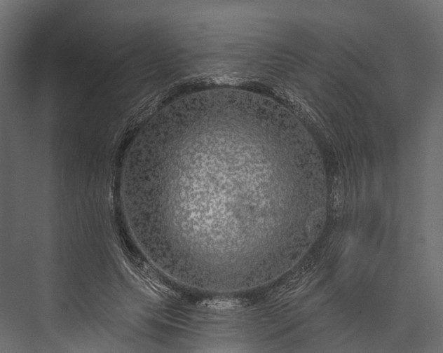 X0000076040639200610061445
