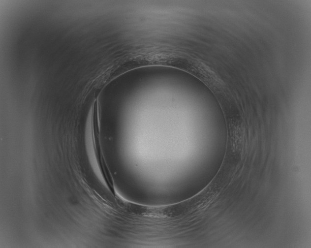 X0000076040644200610061445