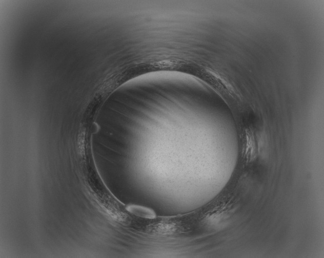 X0000076040647200610061445