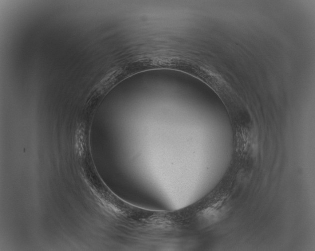 X0000076040648200610061445