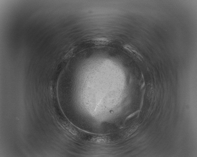 X0000076040655200610061445