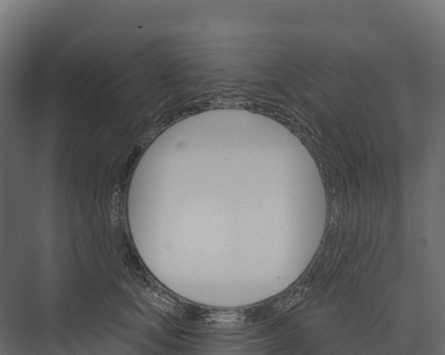 X0000076040659200610061445