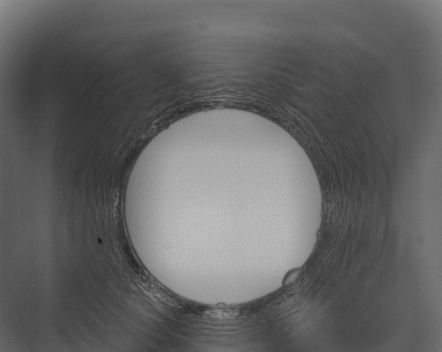 X0000076040660200610061445