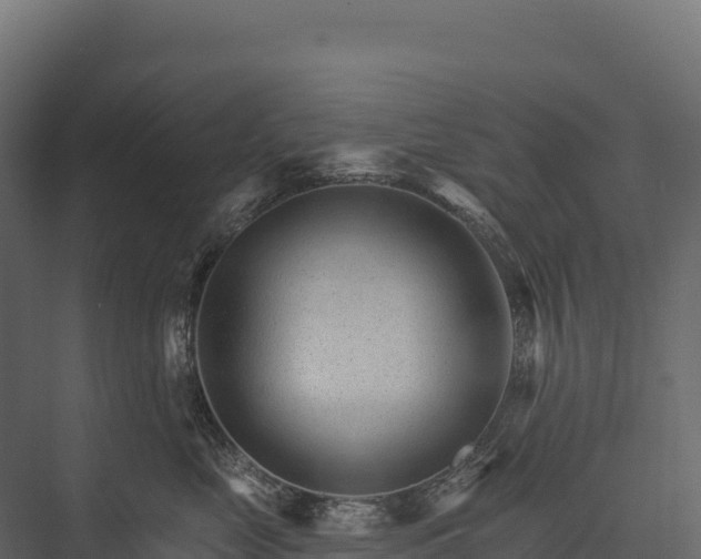 X0000076040669200610061445