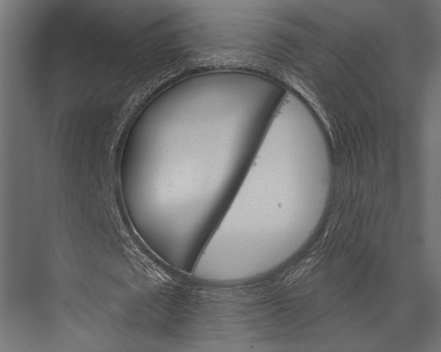 X0000076040673200610061445