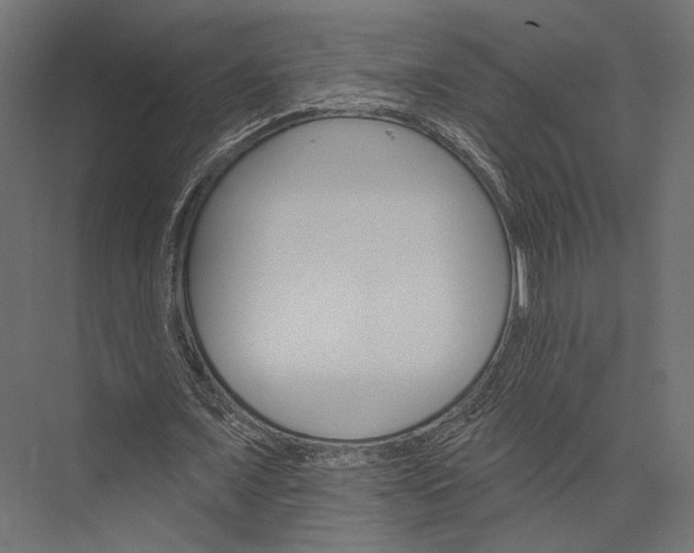 X0000076040675200610061445
