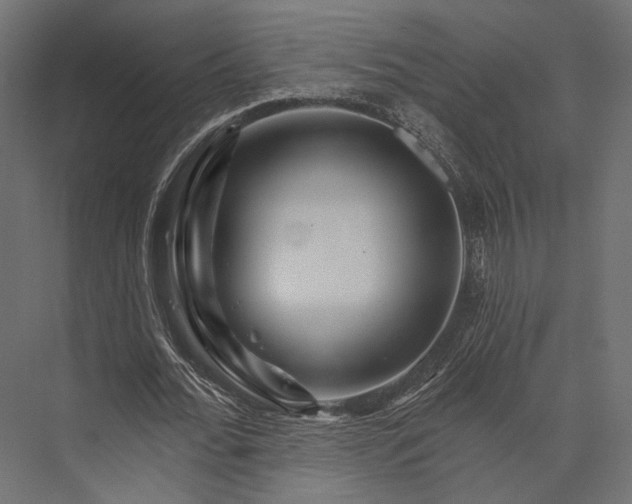 X0000076040676200610061445
